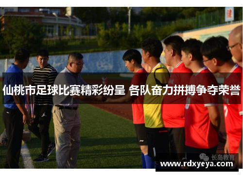 仙桃市足球比赛精彩纷呈 各队奋力拼搏争夺荣誉